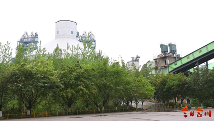 建設環保兩不誤！臺泥（重慶）水泥何以成為國家級綠色工廠？